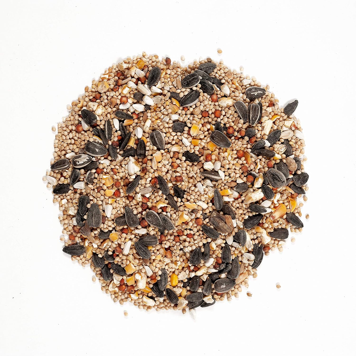 Wagner's 62011 Eastern Regional Blend Wild Bird Food, 8-Pound Bag