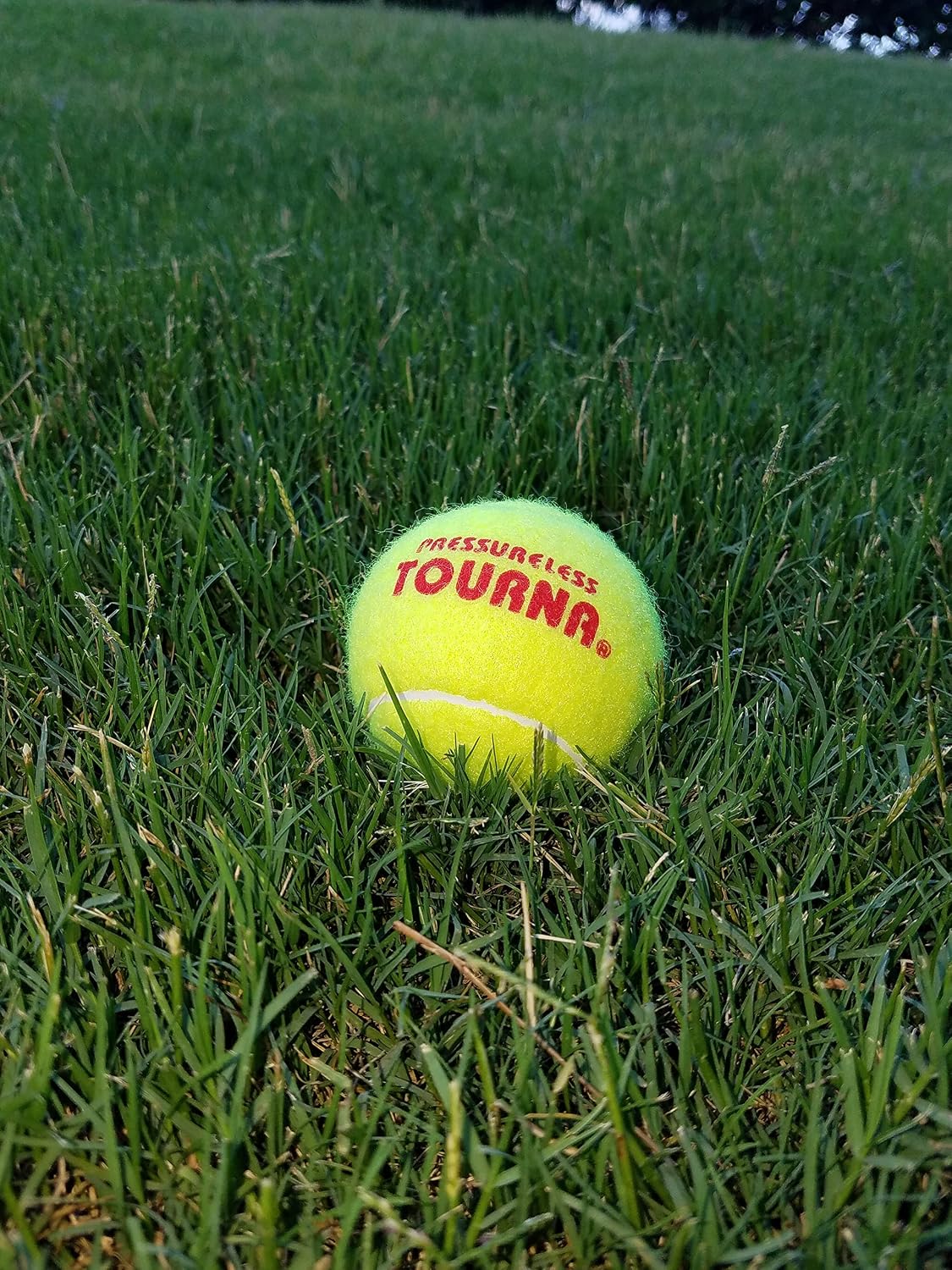 Tourna Pressurless Tennis Balls Box of 144