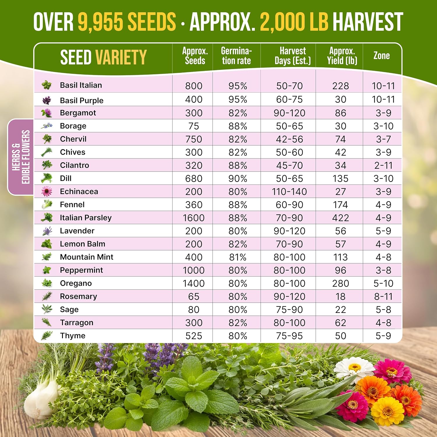 20 Culinary Herbs & Edible Flower Seed Variety Pack for Planting Indoor & Outdoors. 9500+ Non-GMO Heirloom Flower Seeds: Basil, Borage, Echinacea, Lavender, Oregano, Rosemary Seeds & More