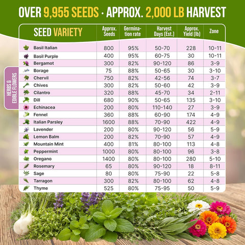 20 Culinary Herbs & Edible Flower Seed Variety Pack for Planting Indoor & Outdoors. 9500+ Non-GMO Heirloom Flower Seeds: Basil, Borage, Echinacea, Lavender, Oregano, Rosemary Seeds & More