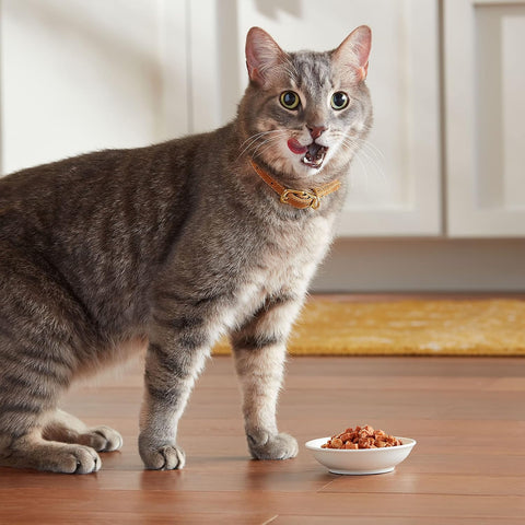 Meow Mix Seafood Favorites, Wet Food Variety Pack, 12 Cups