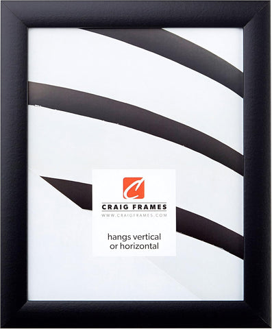 Craig Frames 16x20 Black Picture Frame, Wall Decor for Posters and Photos