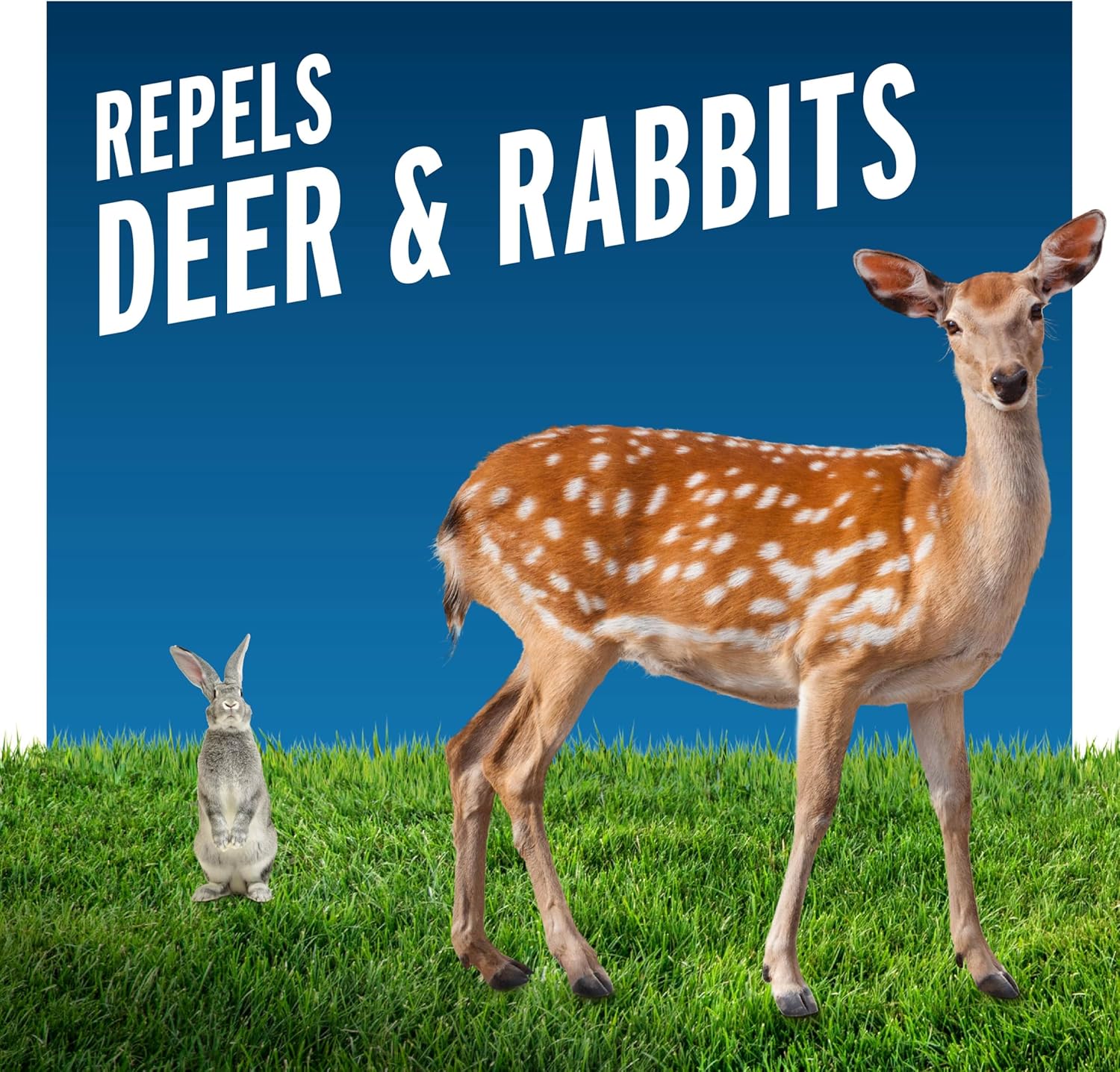 Liquid Fence Deer and Rabbit Repellent Ready-to-Use Spray, 1 Gallon