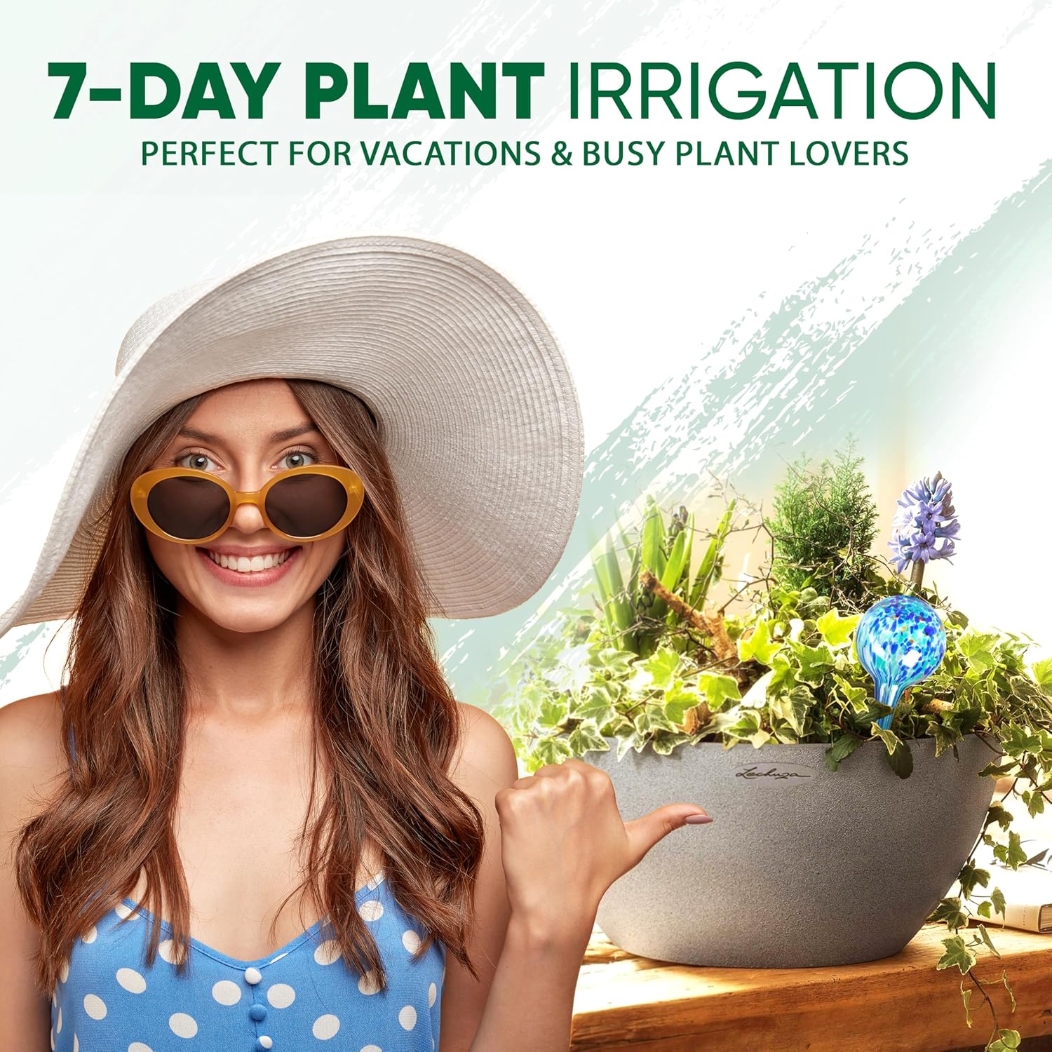 Plant Watering Globes Set of 4, Large - Glass Self Watering Globes