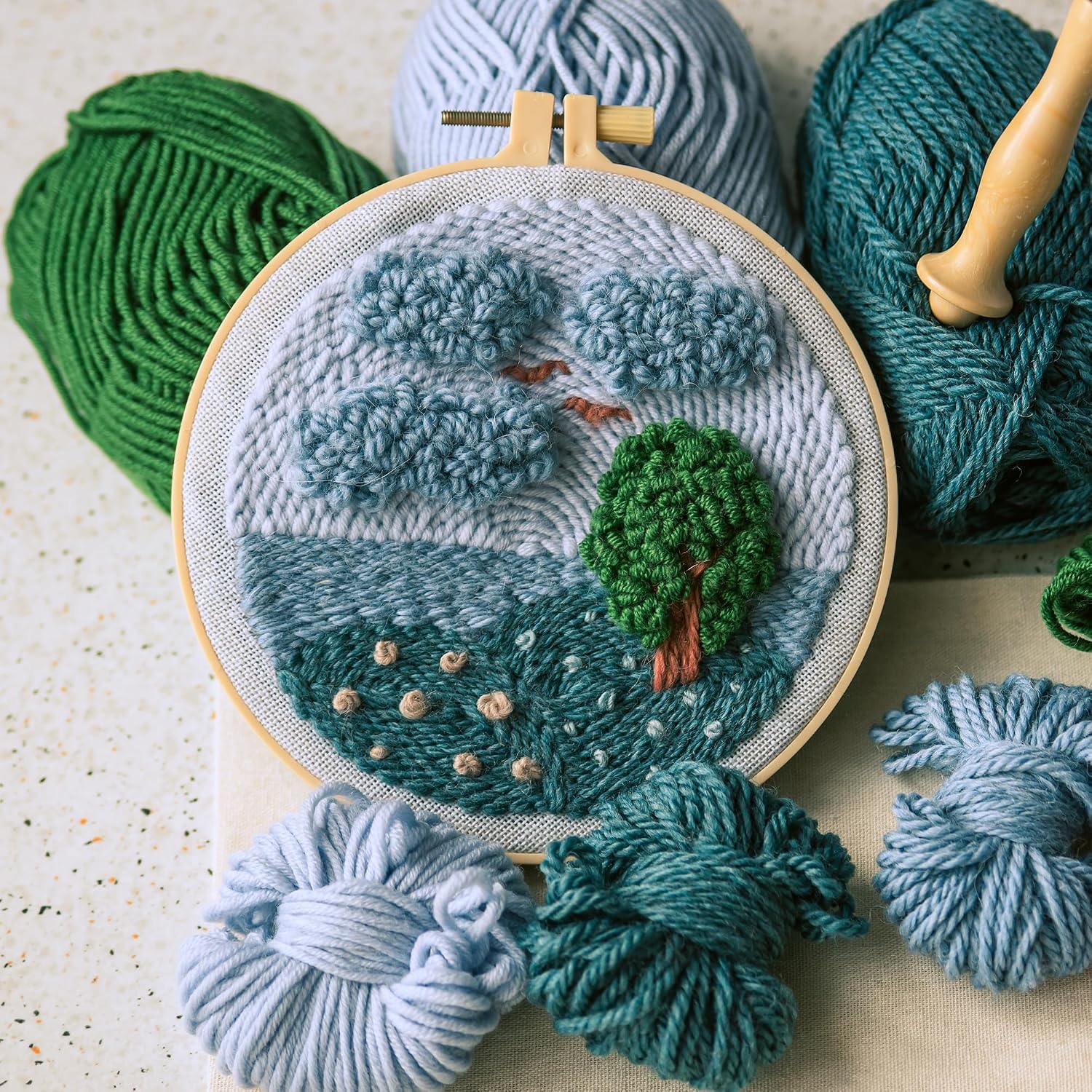 Caydo 6 Pieces Embroidery Hoops with 16 Pieces Needles, 3 Inch to 10 Inch