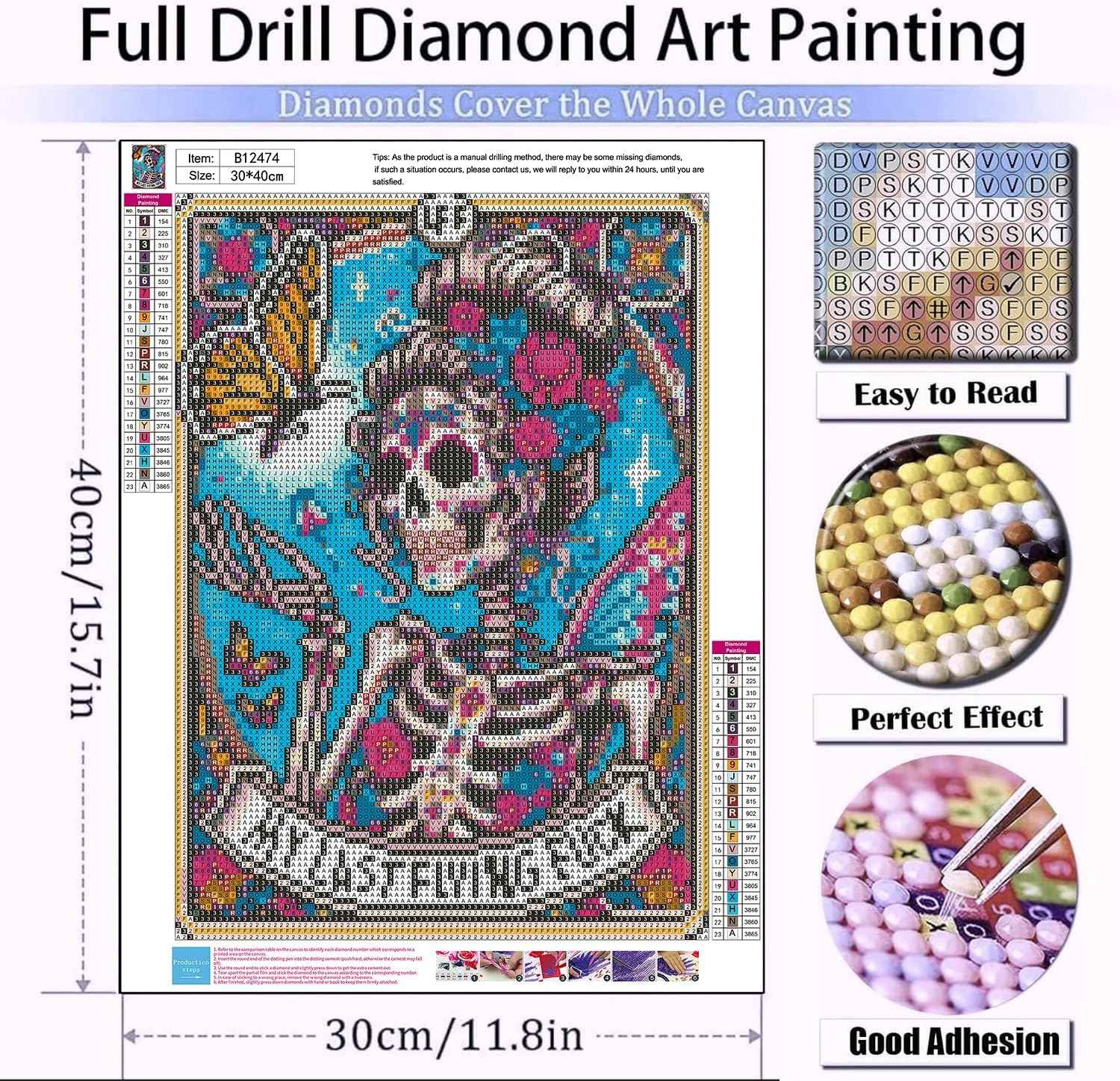 Diamond Art Kits for Adults Skull Last Flying Diamond Painting Kit 12x16in