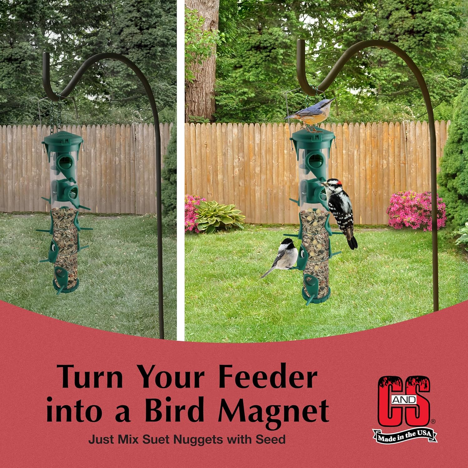 C&S Peanut Suet Nuggets, Bird Suet for Woodpeckers, 8 Pound (Pack of 1)