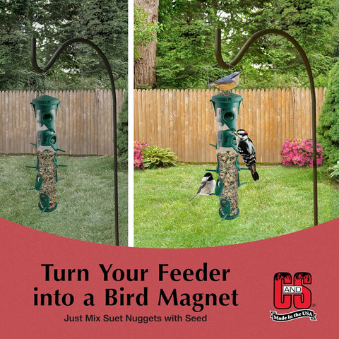 C&S Peanut Suet Nuggets, Bird Suet for Woodpeckers, 8 Pound (Pack of 1)