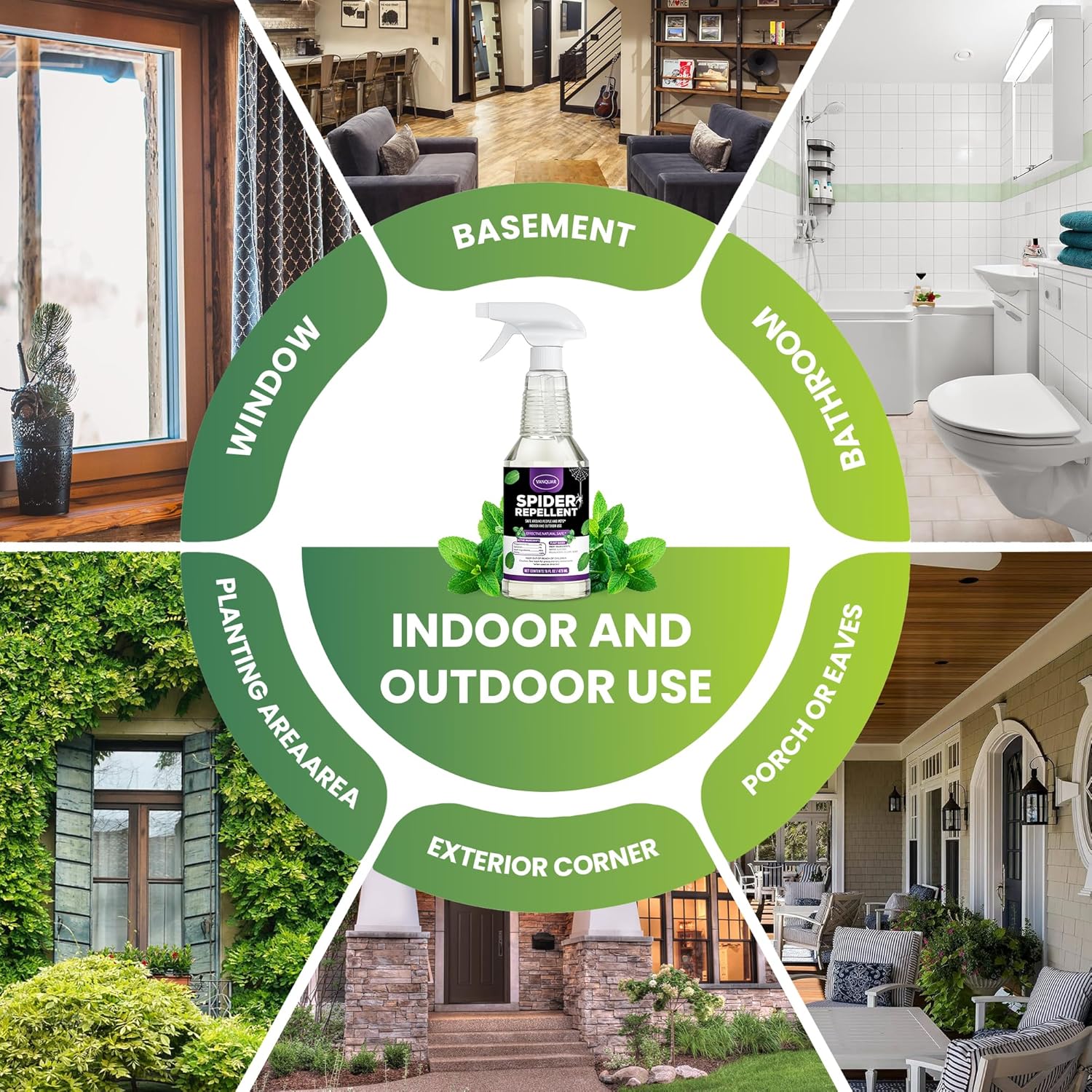 Peppermint Oil Insect & Spider Repellent Spray - All-Natural, Pet-Safe Bug Control for Home, Kitchen & Garden - 16 oz