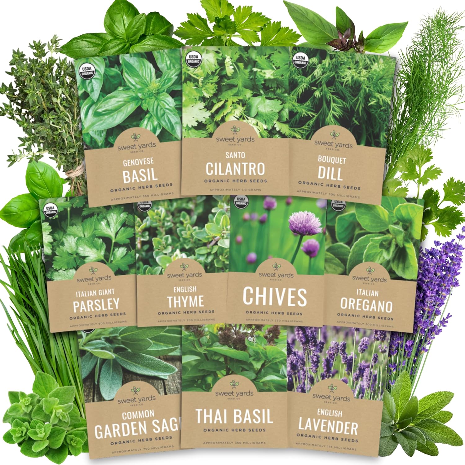 Organic Herb Seeds Variety Pack - 10 Individual Packs - 2026 Season - Basil, Cilantro, Dill, Thyme, Parsley and More! for Indoor & Outdoor Planting (Non-GMO, Certified Organic)