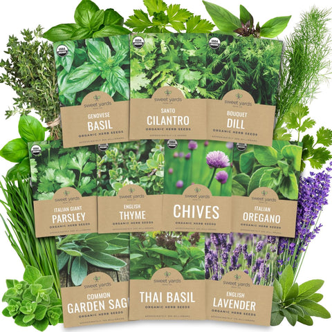 Organic Herb Seeds Variety Pack - 10 Individual Packs - 2026 Season - Basil, Cilantro, Dill, Thyme, Parsley and More! for Indoor & Outdoor Planting (Non-GMO, Certified Organic)