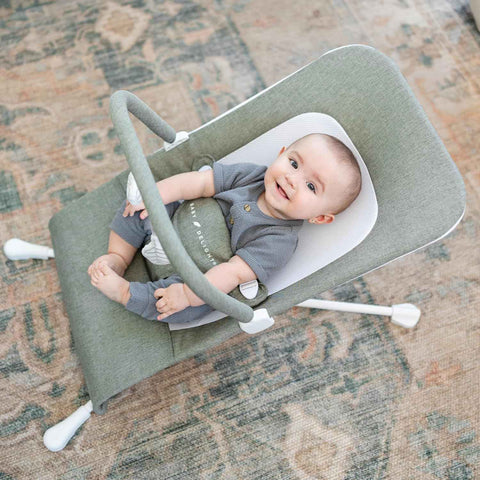 Baby Delight Highland Baby Bouncer, Sage Tweed