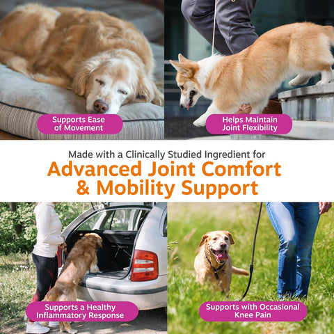 Zesty Paws Vet Strength Mobility Bites Beef & Bacon Flavor Hip & Joint Support Chews for Dogs with Glucosamine, Chondroitin, MSM, Hyaluronic Acid & Serrazimes - 90 Count