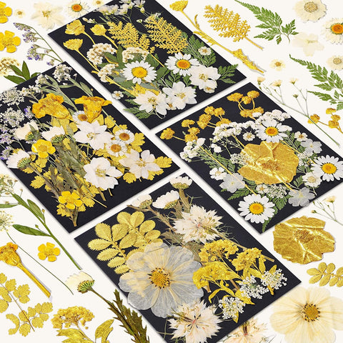 85 Pcs Dried Flowers for Crafts