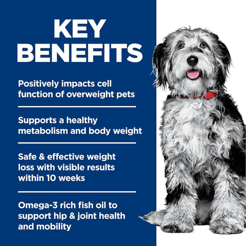 Hill's Science Diet Adult Perfect Weight & Joint Support Dry Dog Food