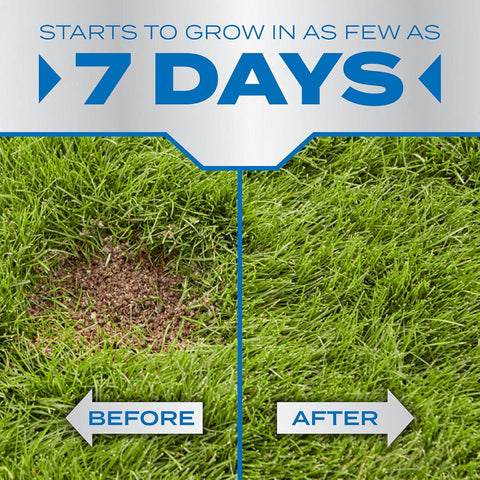 Scotts PatchMaster Lawn Repair Mix Sun and Shade Mix - 10 lb, All-in-One Bare Spot Repair, Feeds for Up to 6 Weeks, Fast Growth and Thick Results, Covers Up to 290 sq. ft.