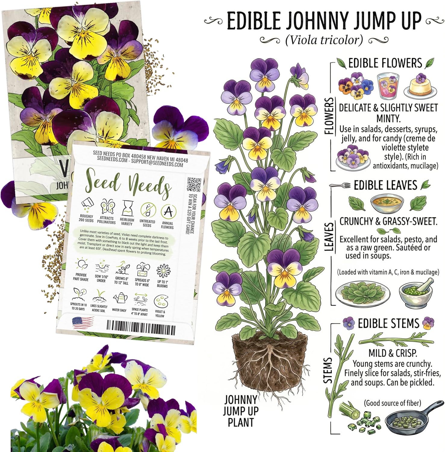 Seed Needs Edible Flower Seeds Variety Pack of 7 Wildflowers for Garnishing