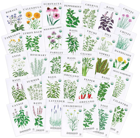 Sereniseed Certified Organic Herb Seeds 35-Pack | Non-GMO Heirloom Variety for Indoor Outdoor Culinary Gardening Gift Kit