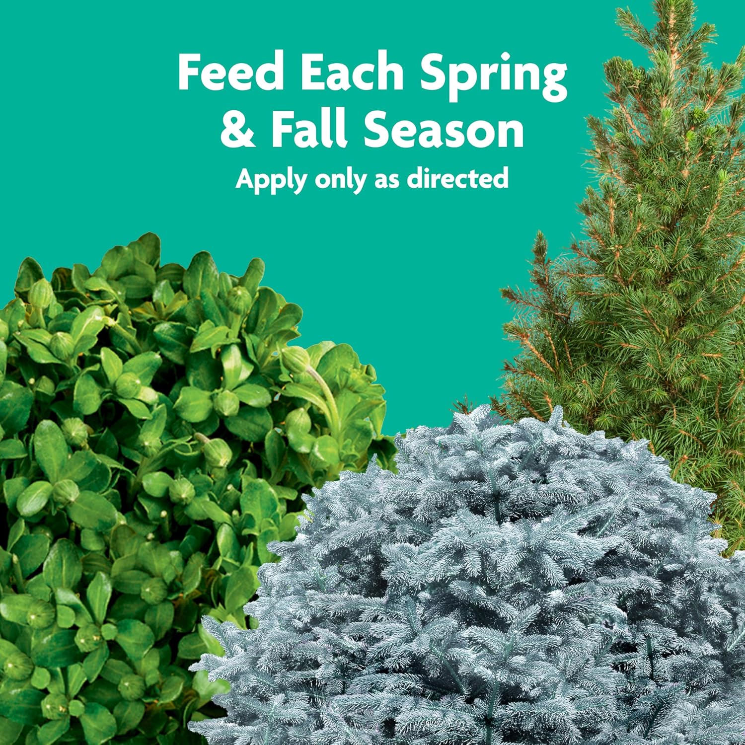 Miracle-Gro Tree & Shrub Plant Food Spikes, 12 Spikes