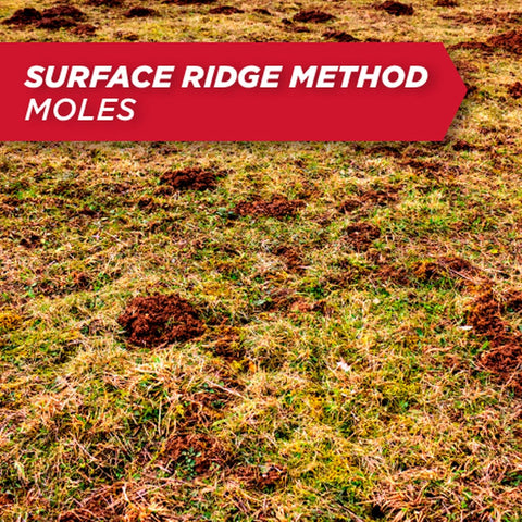 Amdro Mole & Gopher Bait, 1 LB