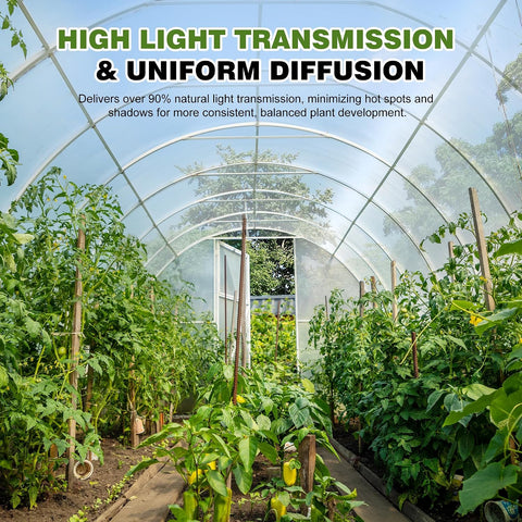6 Mil Plastic Sheeting, 10x25 FT, Greenhouse Plastic