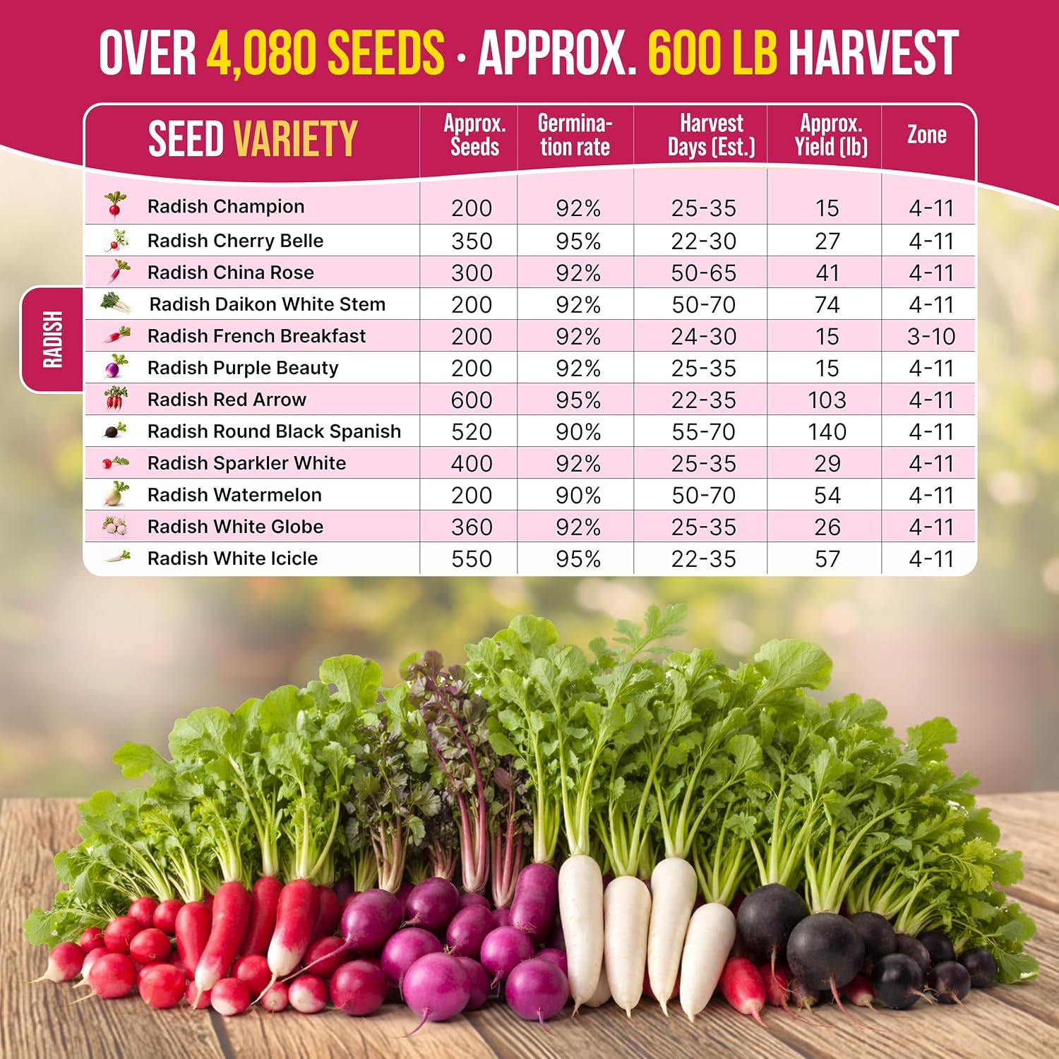 Organo Republic 12 Radish Seeds Variety Pack for Indoor & Outdoors 2400+ Heirloom Non-GMO Radish Garden Seeds: Daikon, Cherry Belle, French, Breakfast, Champion, Purple, Watermelon Radishes Seeds