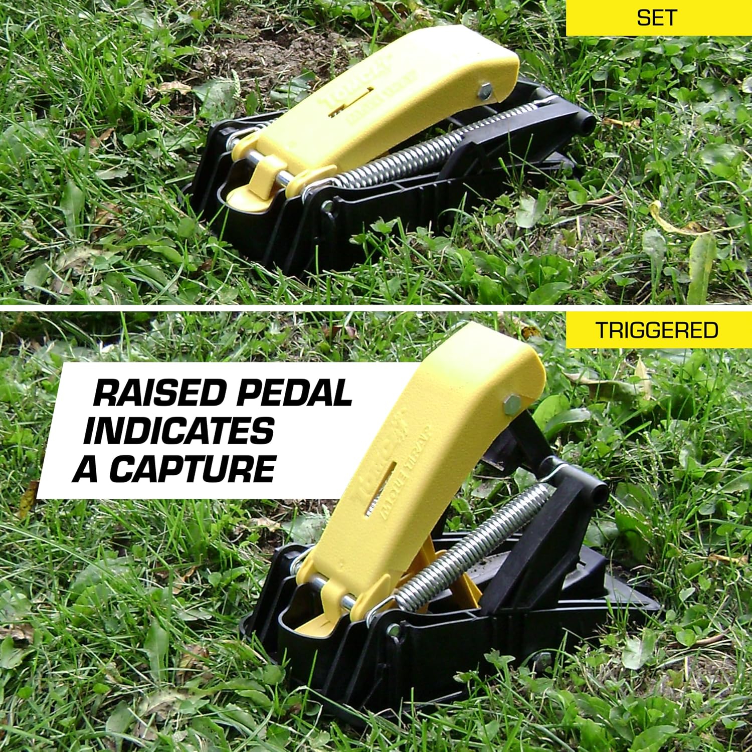Tomcat Mole Trap, 2 Traps
