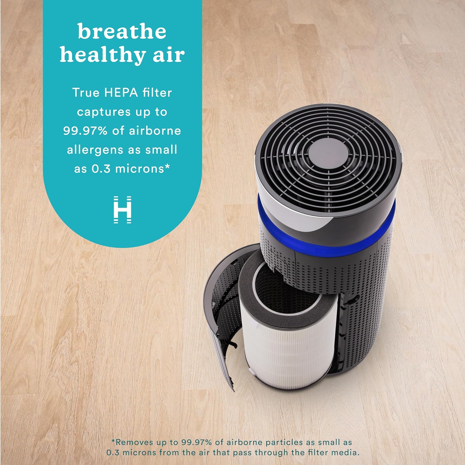 Homedics TotalClean 3-in-1 True HEPA Filter Replacement for Air Purifier
