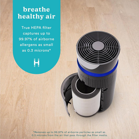 Homedics TotalClean 3-in-1 True HEPA Filter Replacement for Air Purifier