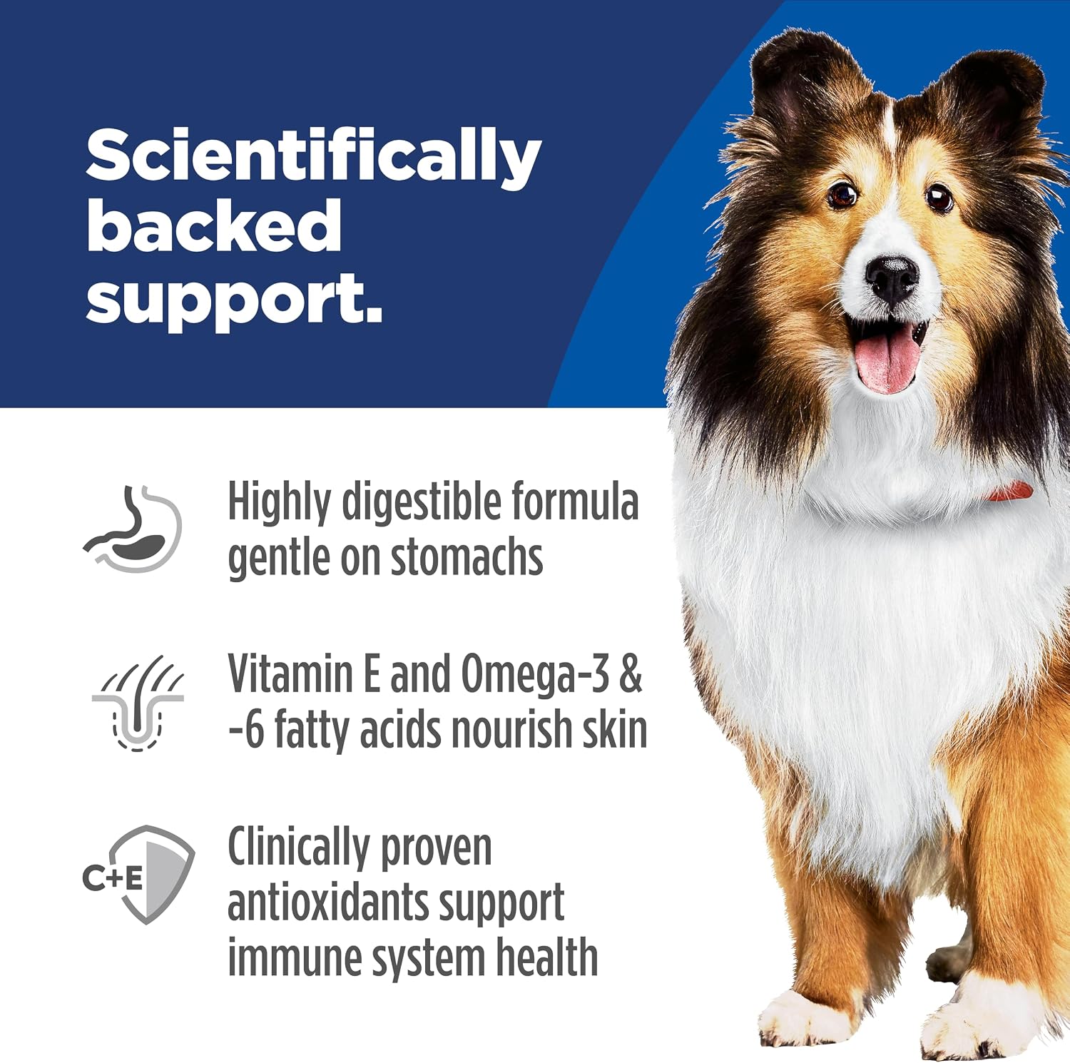 Hill's Science Diet Sensitive Stomach & Skin Dry Dog Food