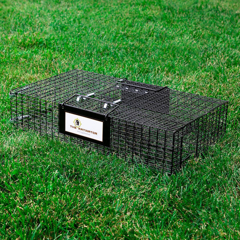 Rugged Ranch Ratinator Large Dual Door Live Rat & Mouse Trap Metal Cage