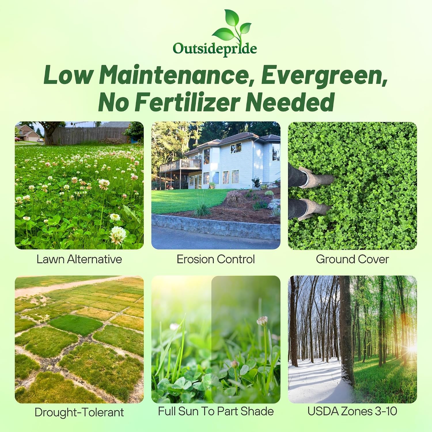 Outsidepride Perennial White Dutch Clover Seed - 5 lbs. Nitrocoated, Inoculated for Lawn Alternative, Erosion Control, Food Plots, Ground Cover, & Pasture Mixtures in USDA Zones 3-10