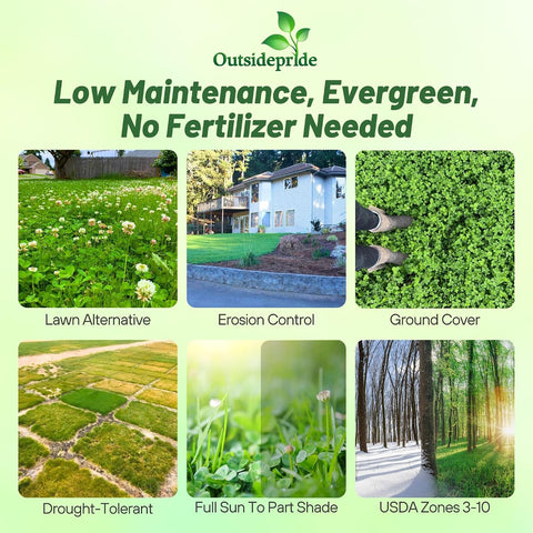 Outsidepride Perennial White Dutch Clover Seed - 5 lbs. Nitrocoated, Inoculated for Lawn Alternative, Erosion Control, Food Plots, Ground Cover, & Pasture Mixtures in USDA Zones 3-10