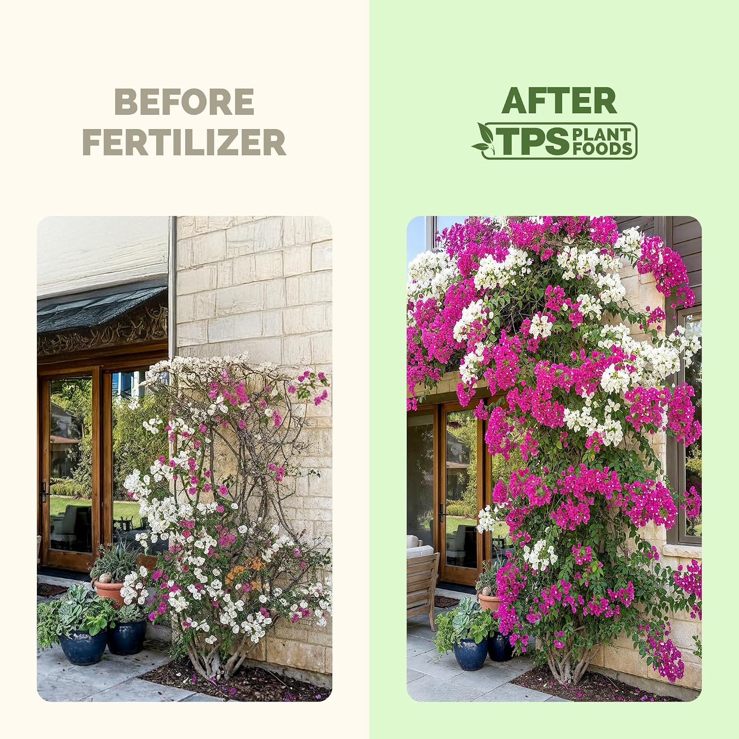 Bougainvillea Fertilizer - Liquid Plant Food for Vibrant Blooms, 8 oz