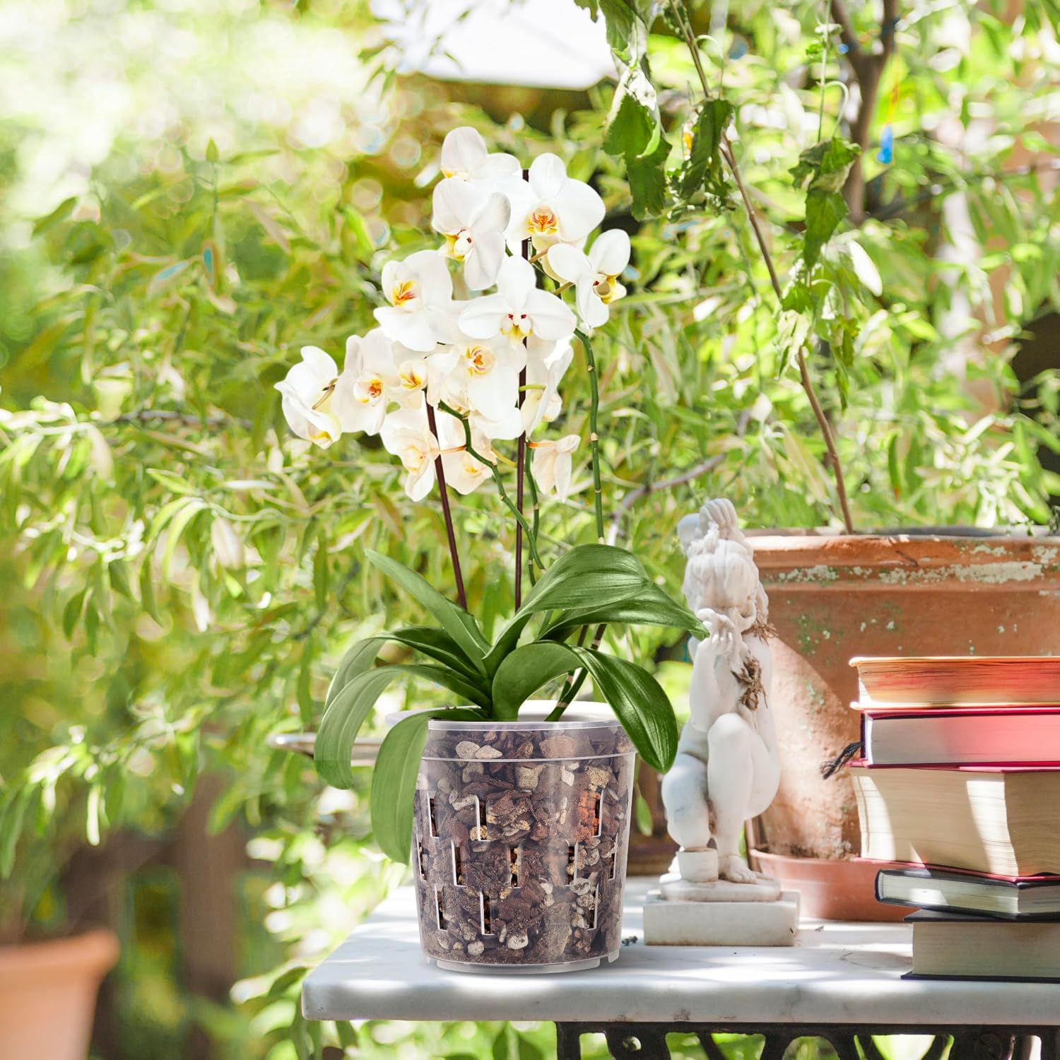 TRUEDAYS Orchid Pot with Saucers, 4 Pack 6 Inch Plant Pot with Drainage