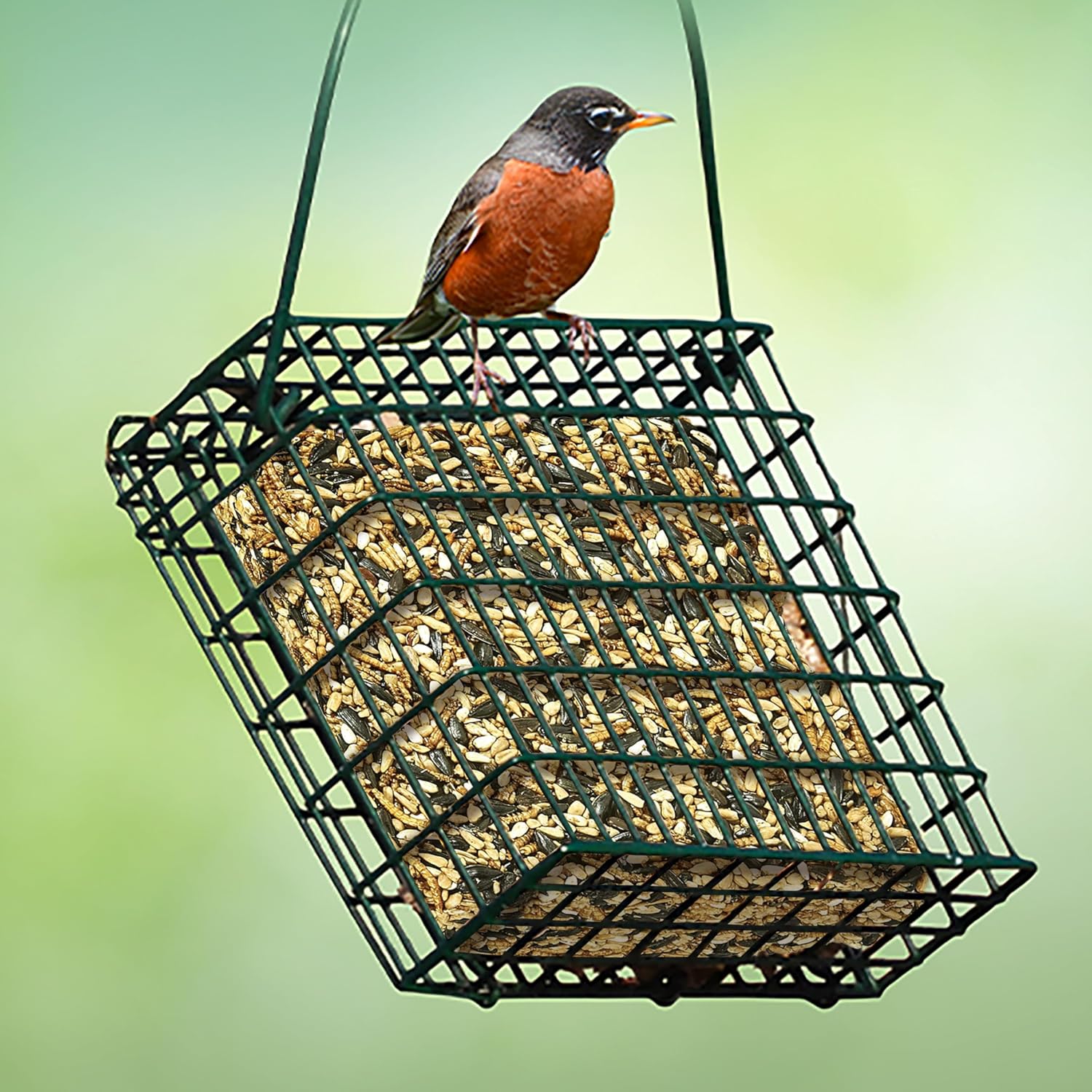 Kaytee Wild Bird Seed & Mealworm Seed Cake Food For Bluebirds, Chickadees, Woodpeckers and More, 1.4 Pound