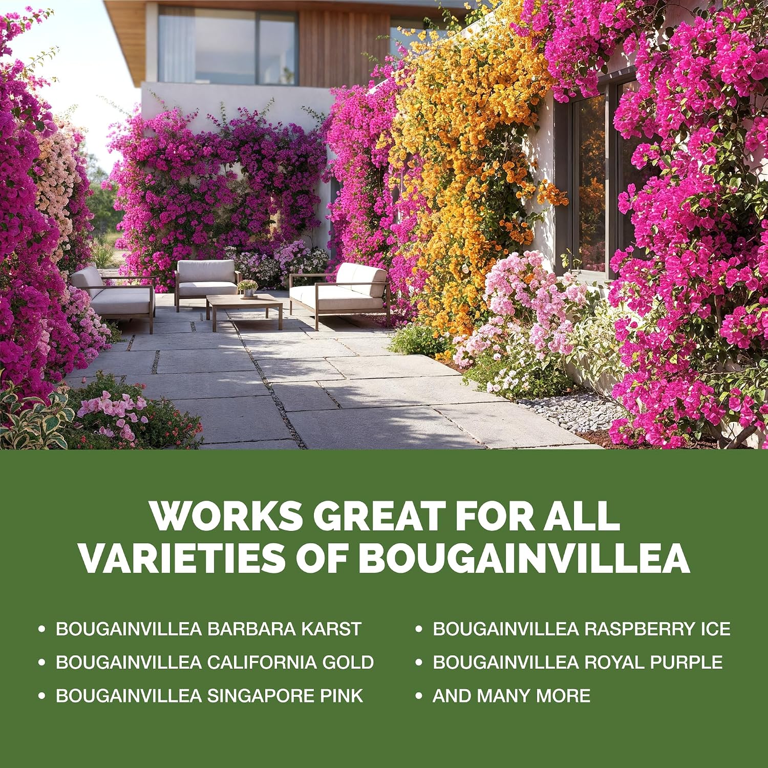 Bougainvillea Fertilizer - Liquid Plant Food for Vibrant Blooms, 8 oz