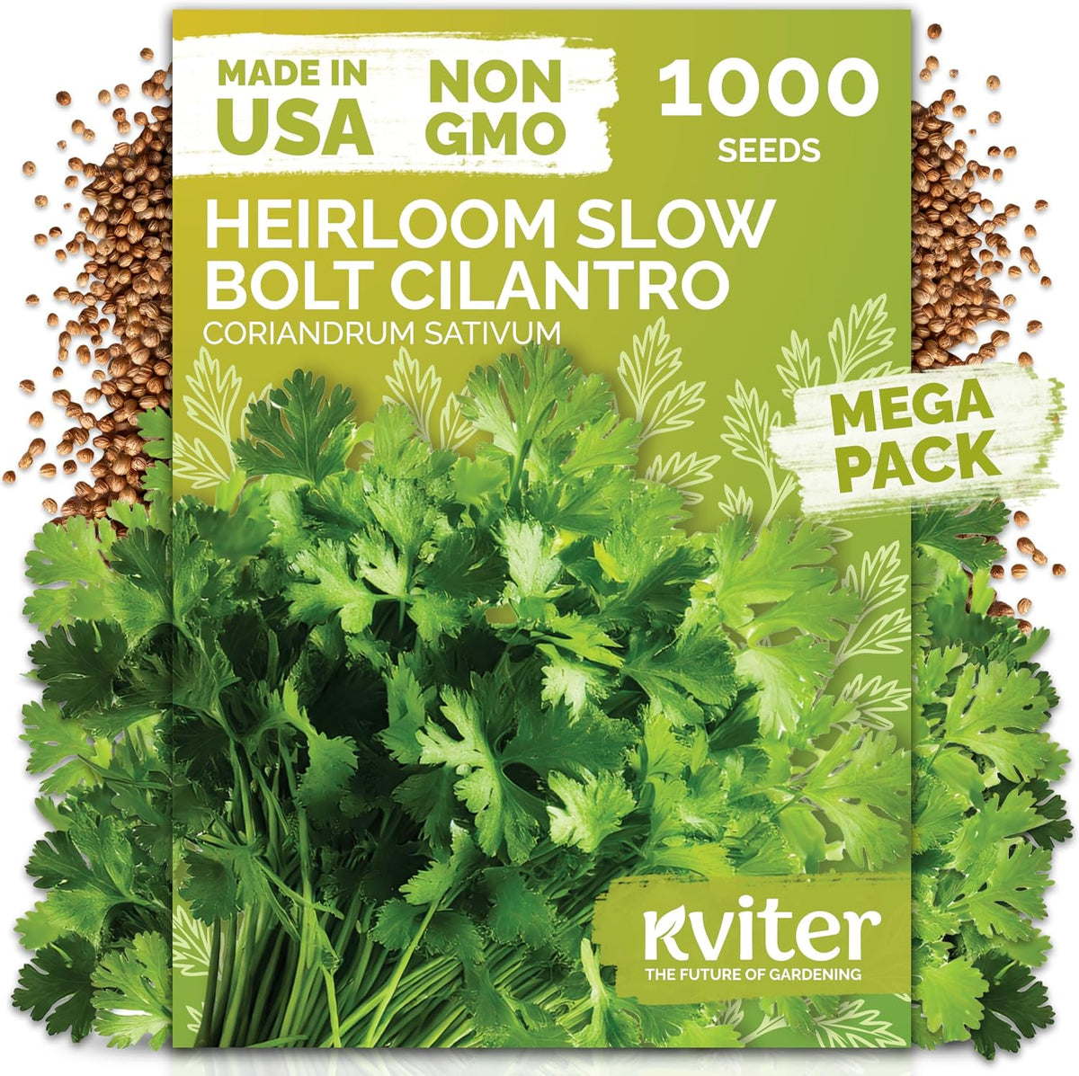1,000 Slow Bolt Cilantro Heirloom Herb Seeds, Coriandrum Sativum