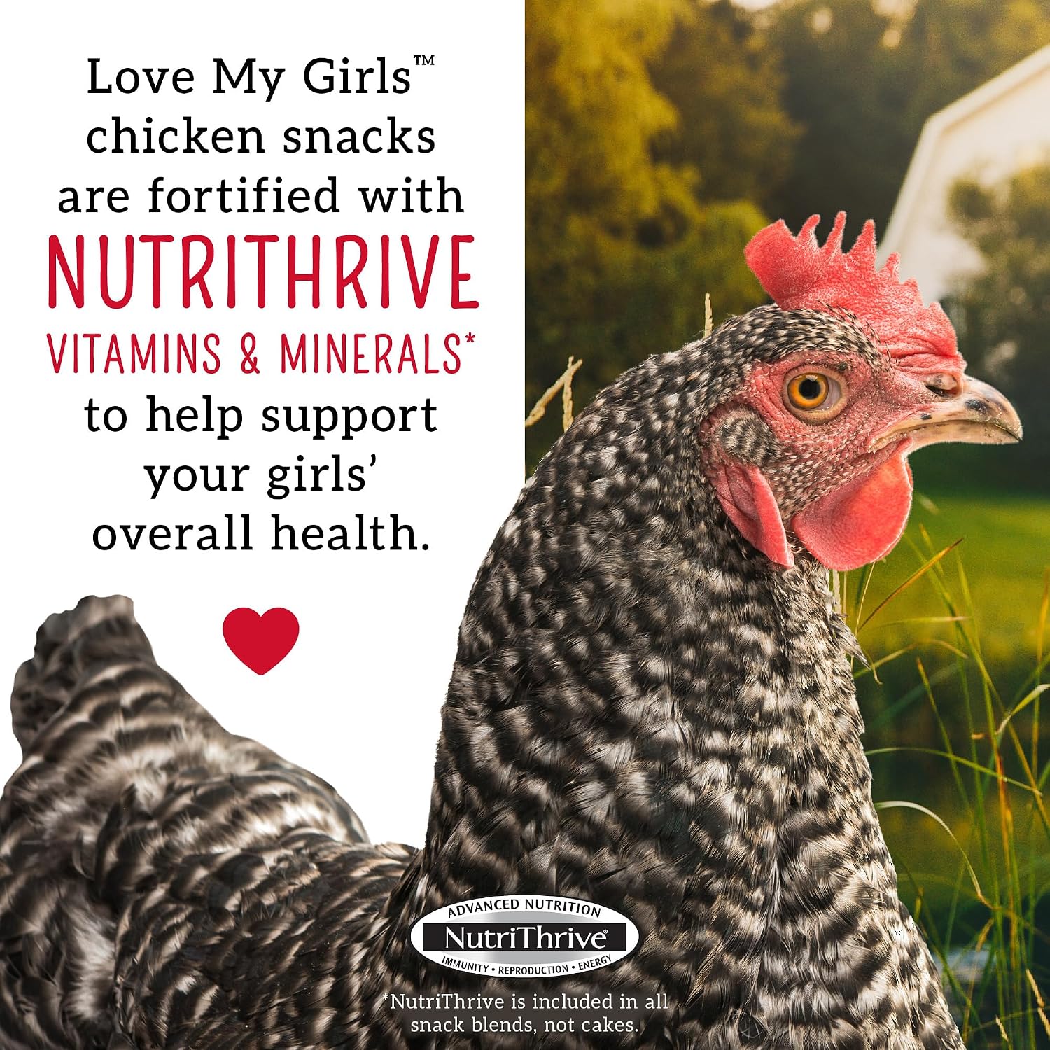 Love My Girls 5lb Chicken Snacks - Flax & Worms Gourmet Multi-Grain Treats