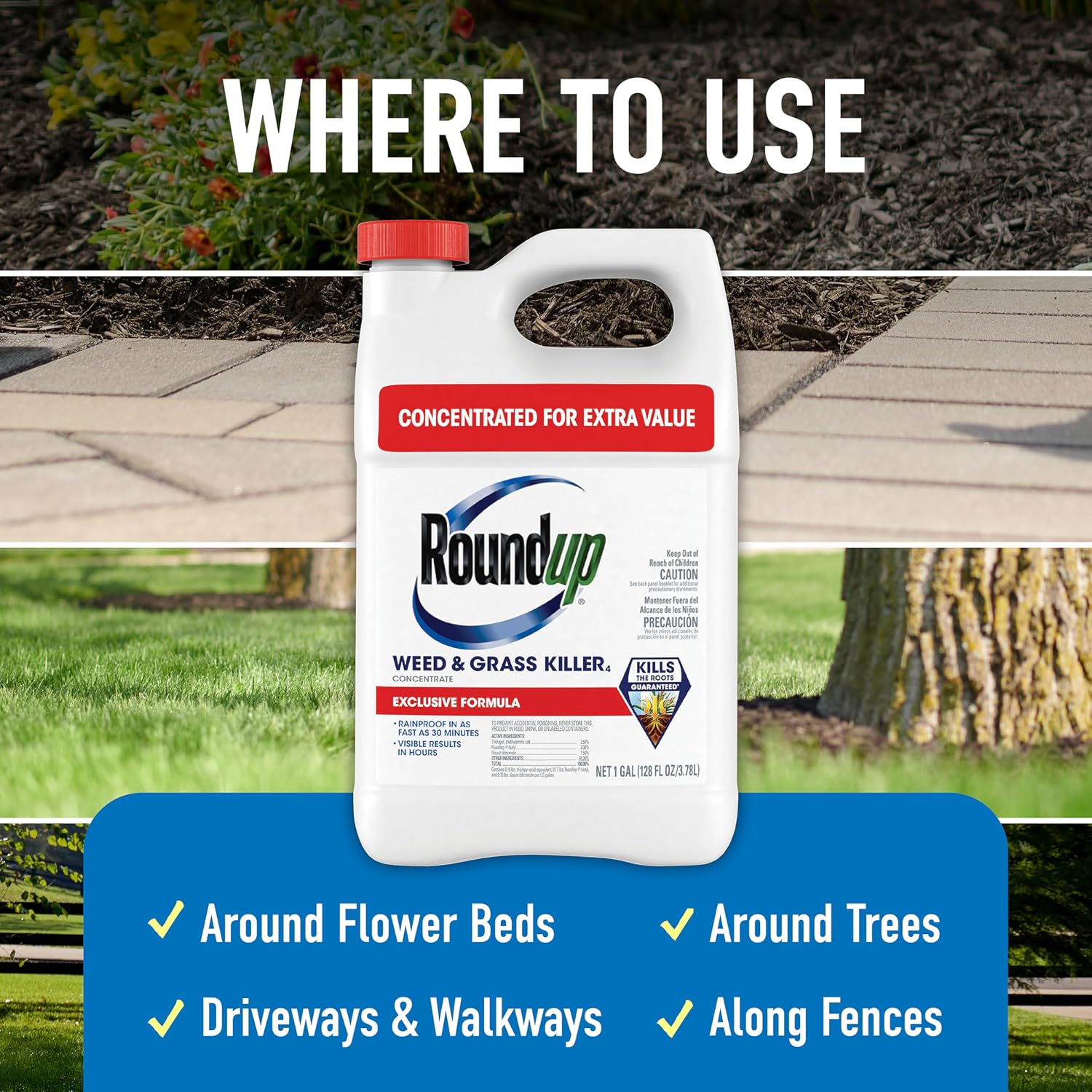 Roundup Weed & Grass Killer4 Concentrate, 1 gal.