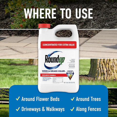 Roundup Weed & Grass Killer4 Concentrate, 1 gal.