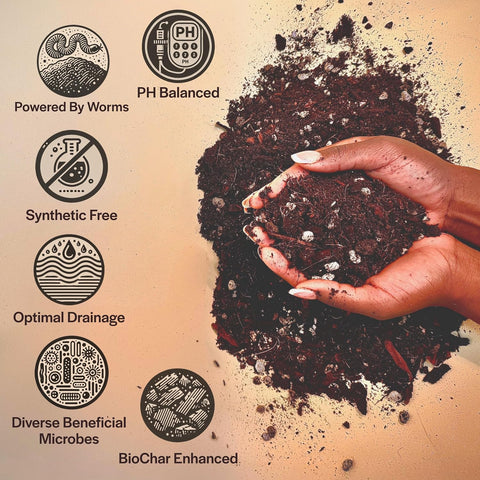 Craft Aroid Potting Mix- Elite Organic Alocasia, Philodendron, Monstera Soil Mix, Chunky, Well Draining Potting Soil for Indoor Plants, All Tropical Plants & Houseplants, Sustainable & Peat Free 4QT