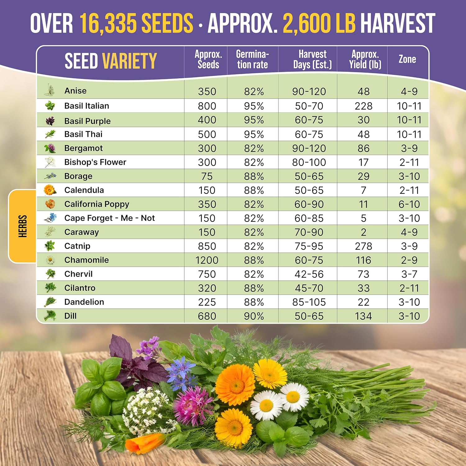 35 Medicinal & Tea Herb Seeds Variety Pack for Indoor & Outdoors. 16,335+ Non-GMO Heirloom Garden Seeds: Anise, Bergamot, Borage, Cilantro, Chamomile, Dandelion, Rosemary Seeds & More