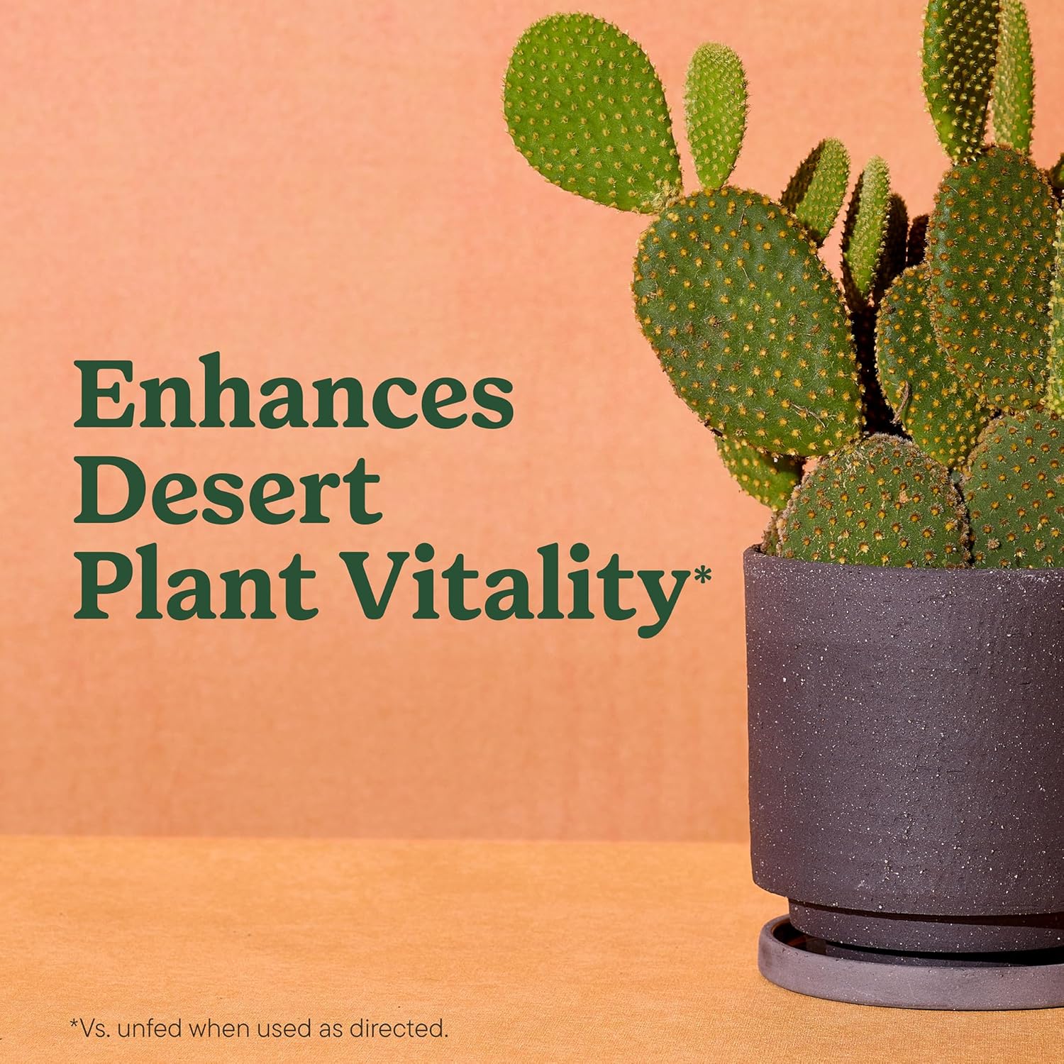 Miracle-Gro Indoor Potting Mix for Cactus & Succulent, 8 qt. (2-Pack)