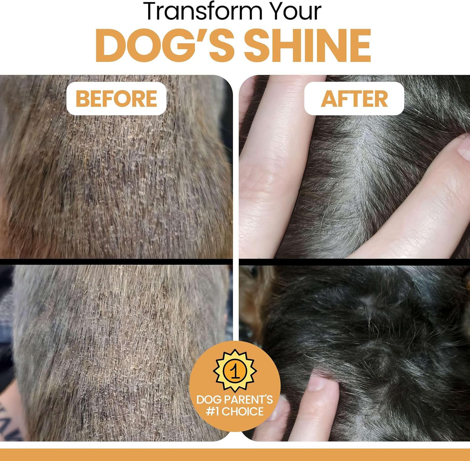 Salmon Oil for Dogs - Premium Fish Oil for Skin and Coat Health - Omega 3 Supplement - Supports Itchy Skin - 8 oz Liquid - Norwegian Dog Salmon Oil - Essential Dog Supplement