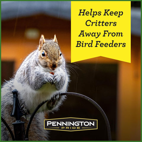 Pennington Squirrel & Critter Blend with Sunflower, Corn & in Shell Peanuts