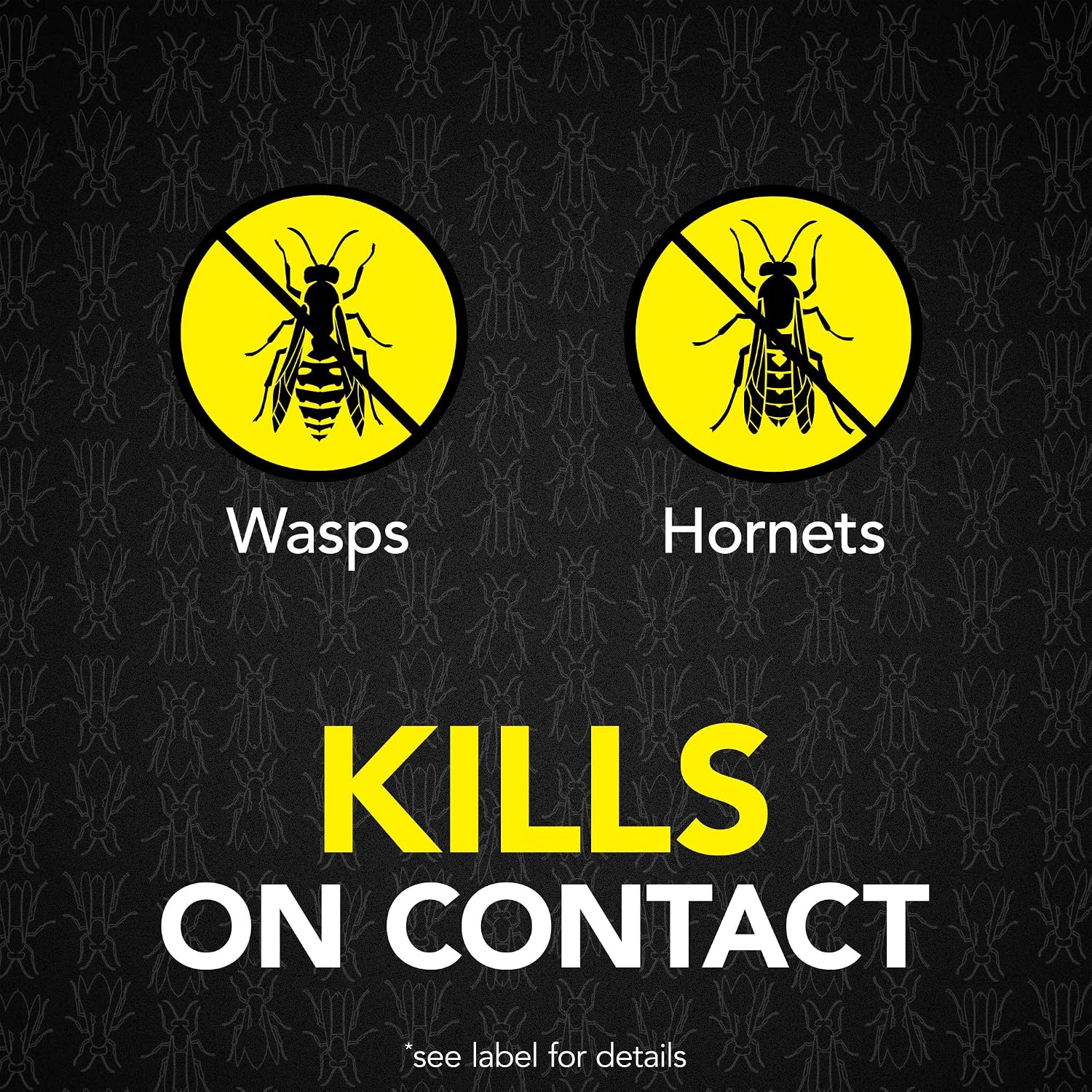 Raid MAX Foaming Wasp & Hornet Killer Bug Spray, 16.5 oz