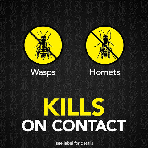 Raid MAX Foaming Wasp & Hornet Killer Bug Spray, 16.5 oz