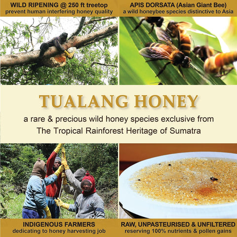 Tualang Black Honey 10oz (TA 11.5+, Pollen Count 4.0M+, Pollen Variety 100+) Intense Choice for Women Preservation, Wild-ripening on 250ft Treetop, Raw, Unpasteurised, Unfiltered