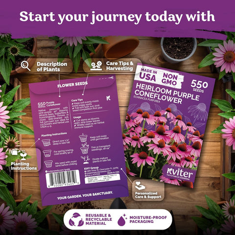 550 Purple Coneflower Heirloom Flower Seeds, Echinacea Purpurea
